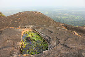 jogfall